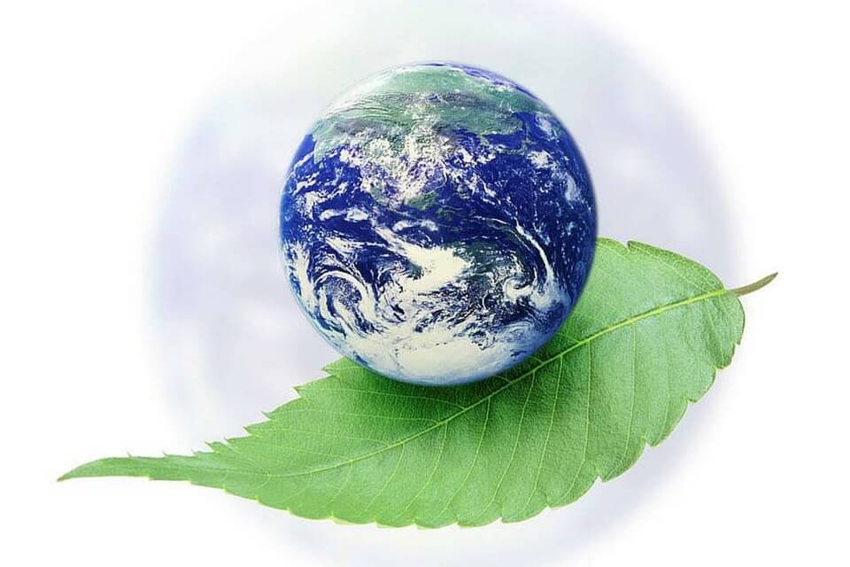 Hệ thống Quản lý Môi trường ISO 14001:2015 Hệ thống Quản lý Môi trường ISO 14001:2015