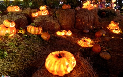 INTIC: CÙNG VIỆN ĐÓN LỄ HỘI HÓA TRANG HALLOWEEN:30.10.2016