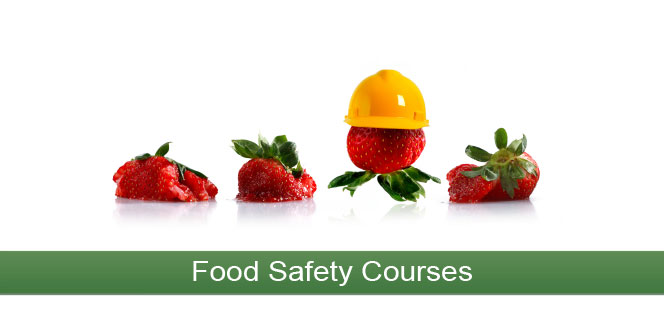 Xây dựng và đánh giá HTQL an toàn thực phẩm ISO 22000/HACCP ca cấp tốc 21/03