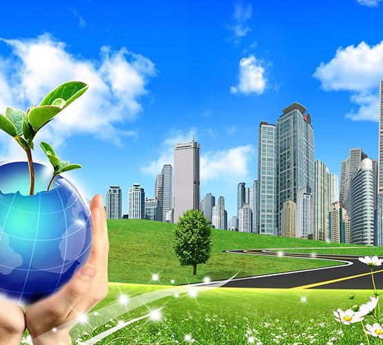 Khóa học Nghiệp vụ Tư vấn và Quản lý môi trường Doanh nghiệp