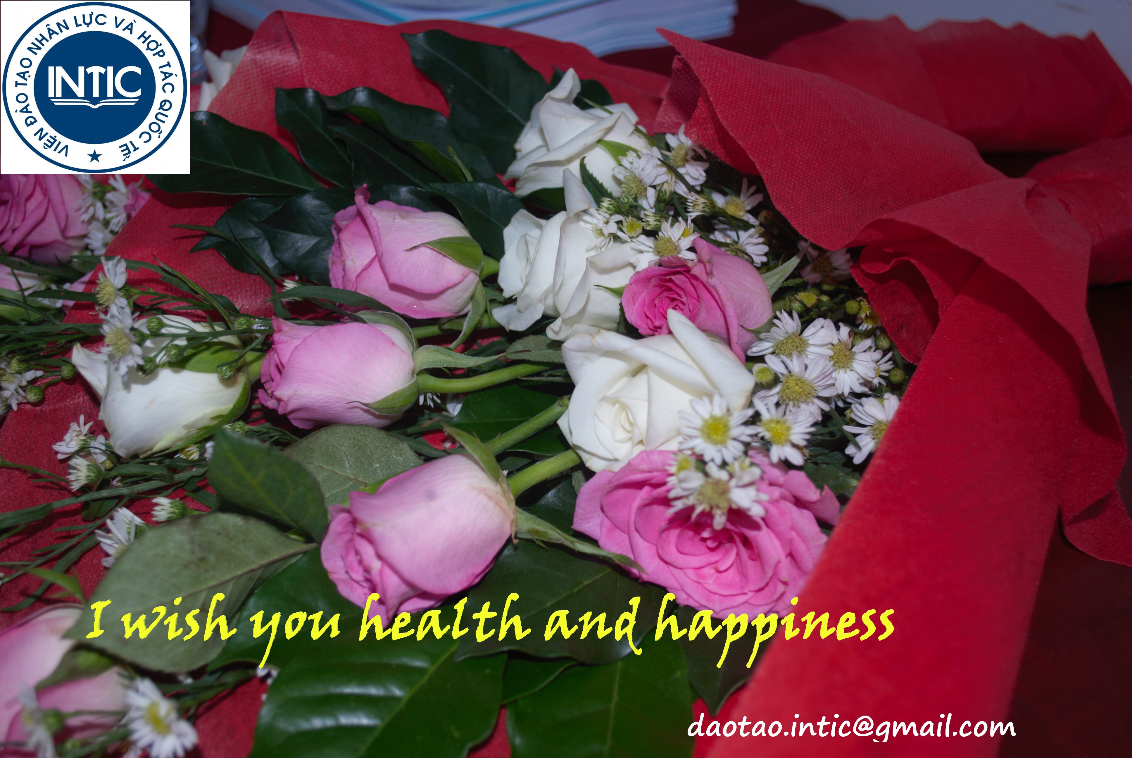 BẢO VỆ KHÓA LUẬN TỐT NGHIỆP LỚP HSE CHẤT LƯỢNG CAO