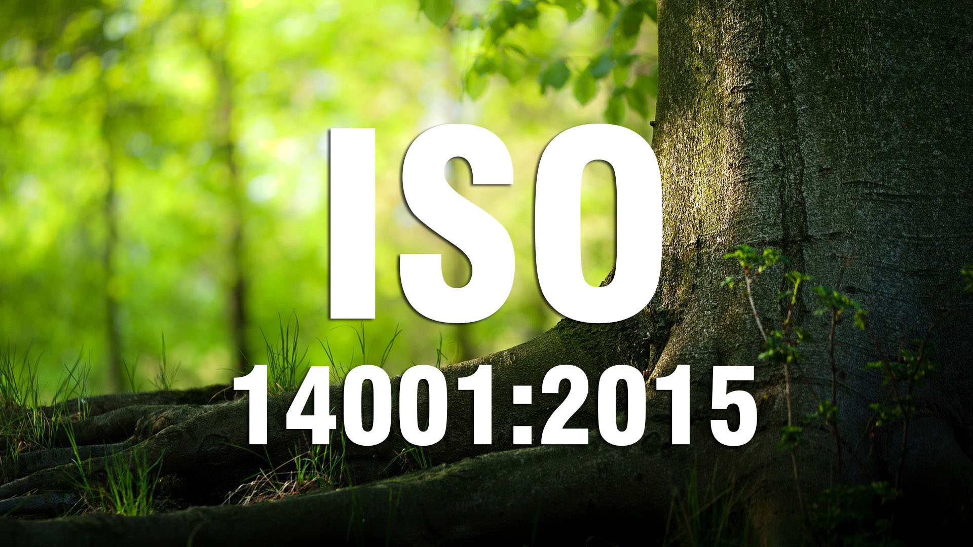 ĐÁNH GIÁ VIÊN NỘI BỘ TIÊU CHUẨN ISO 14001:2015 (Cấp 3)
