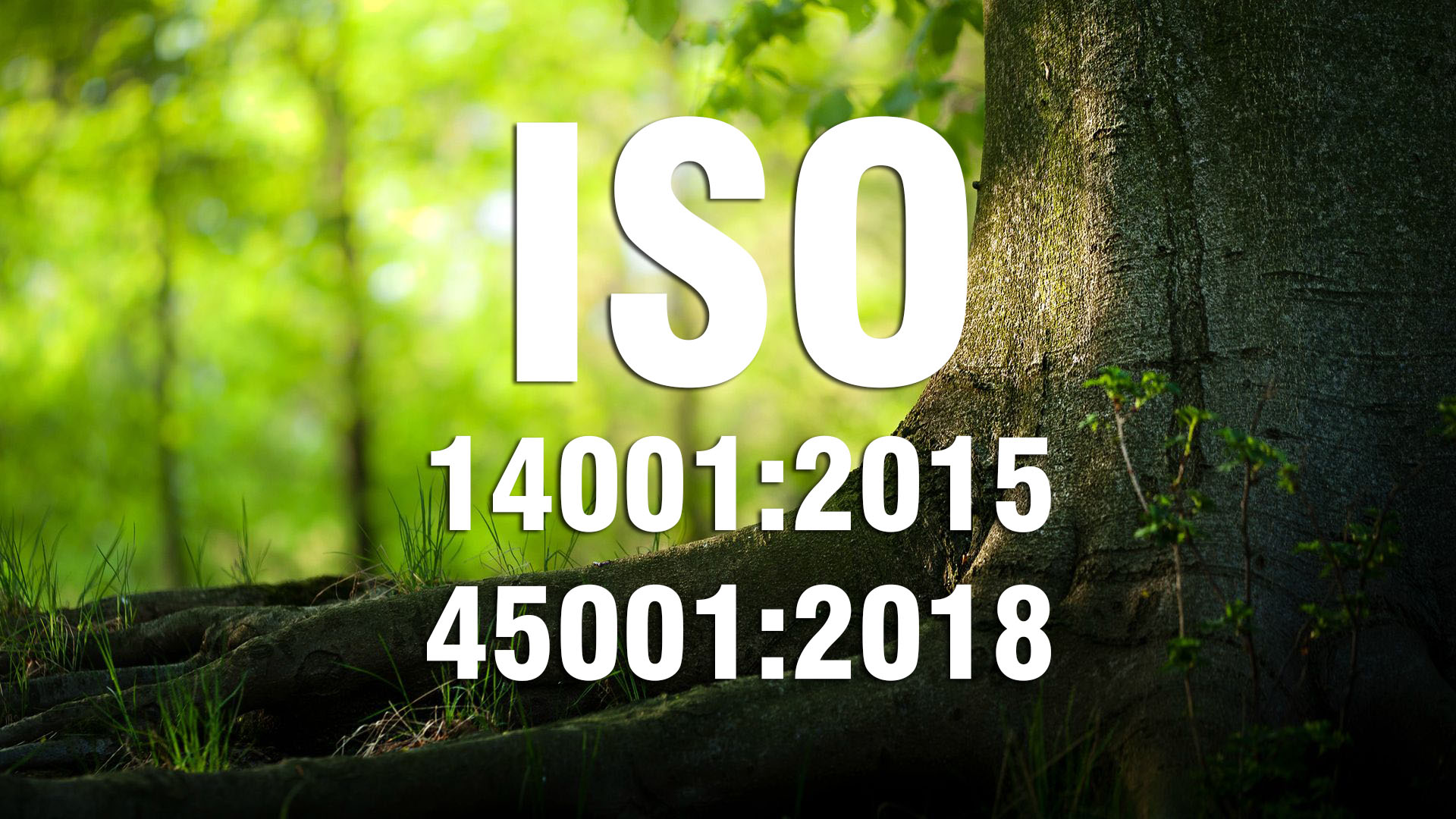 THIẾT LẬP THÔNG TIN VĂN BẢN THEO YÊU CẦU ISO 14001:2015 & ISO 45001:2018 (Cấp 2) THIẾT LẬP THÔNG TIN VĂN BẢN THEO YÊU CẦU ISO 14001:2015 & ISO 45001:2018 (Cấp 2)