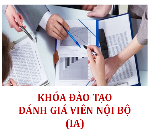 CÁC KHÓA ĐÀO TẠO ĐÁNH GIÁ VIÊN NỘI BỘ (IA)