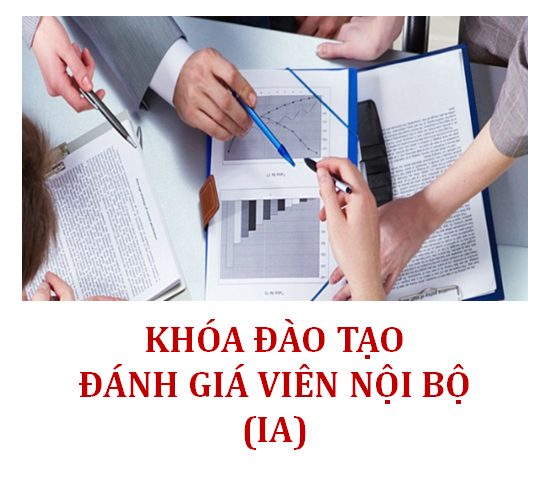 CÁC KHÓA ĐÀO TẠO ĐÁNH GIÁ VIÊN NỘI BỘ (IA)