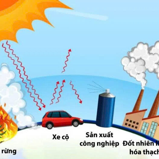 Nghiệp vụ báo cáo kiểm kê khí nhà kính trong doanh nghiệp