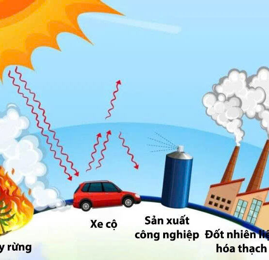 Nghiệp vụ báo cáo kiểm kê khí nhà kính trong doanh nghiệp